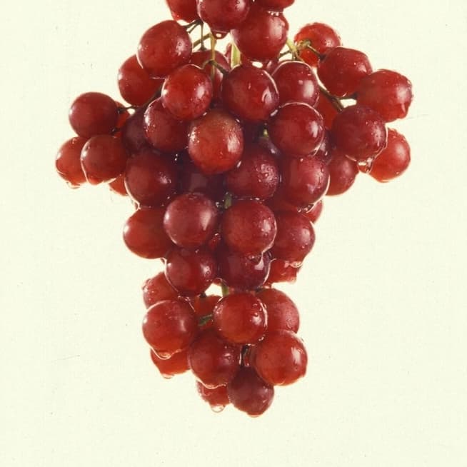 Red grapes, a natural source of Procyanidin C1